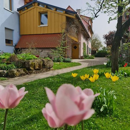 Ferienwohnung Wiesenhof 뉴하프엔더젠 외부 사진