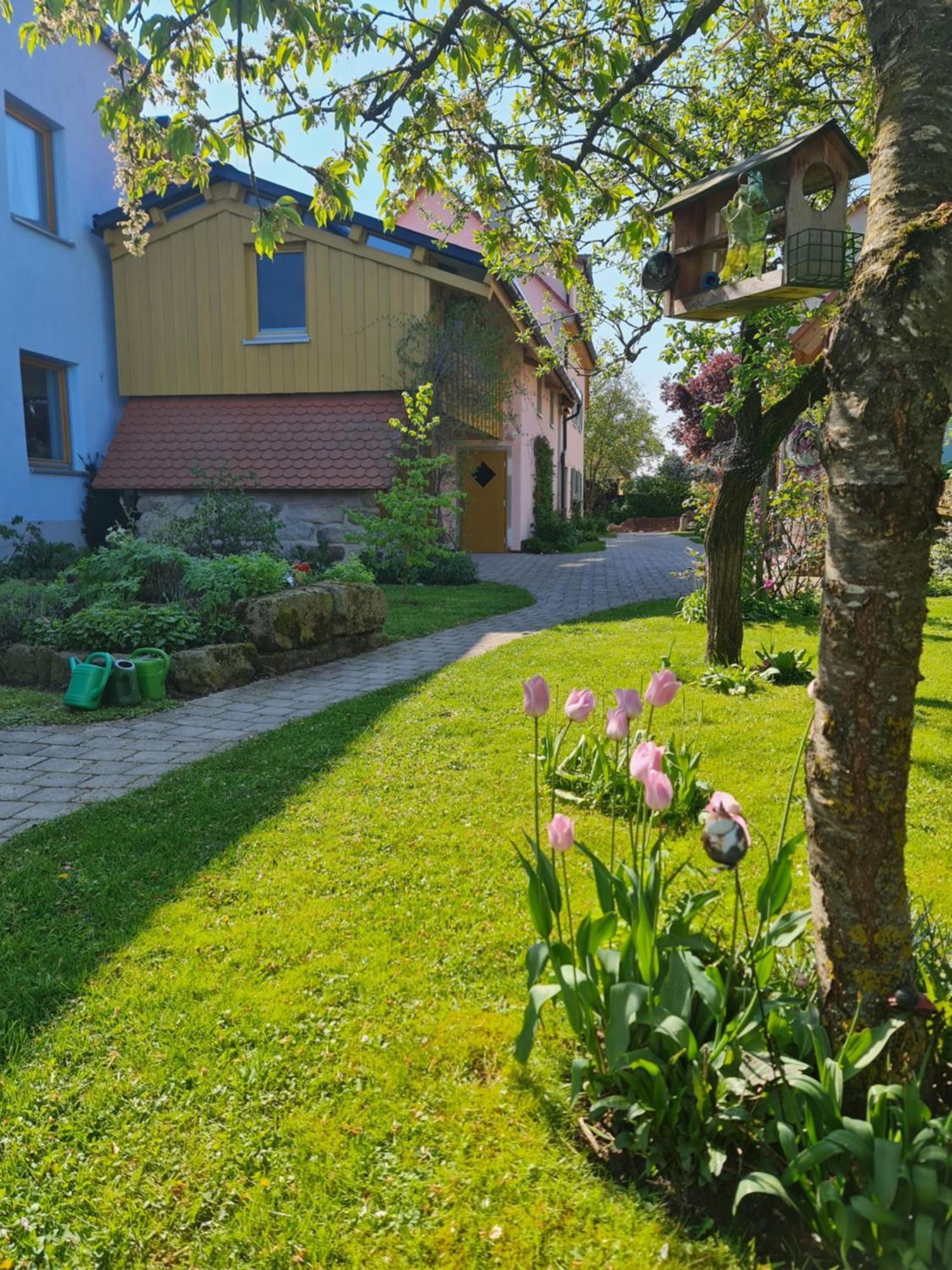 Ferienwohnung Wiesenhof 뉴하프엔더젠 외부 사진