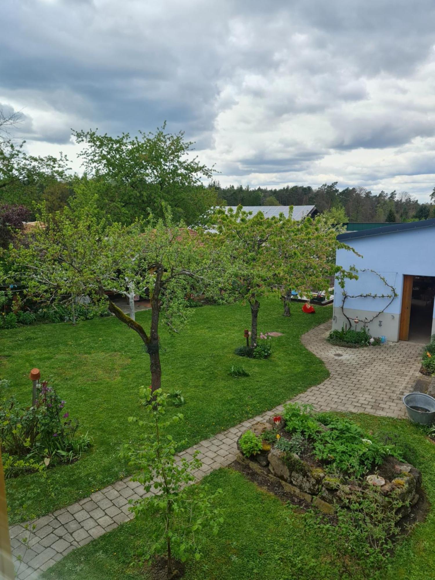Ferienwohnung Wiesenhof 뉴하프엔더젠 외부 사진