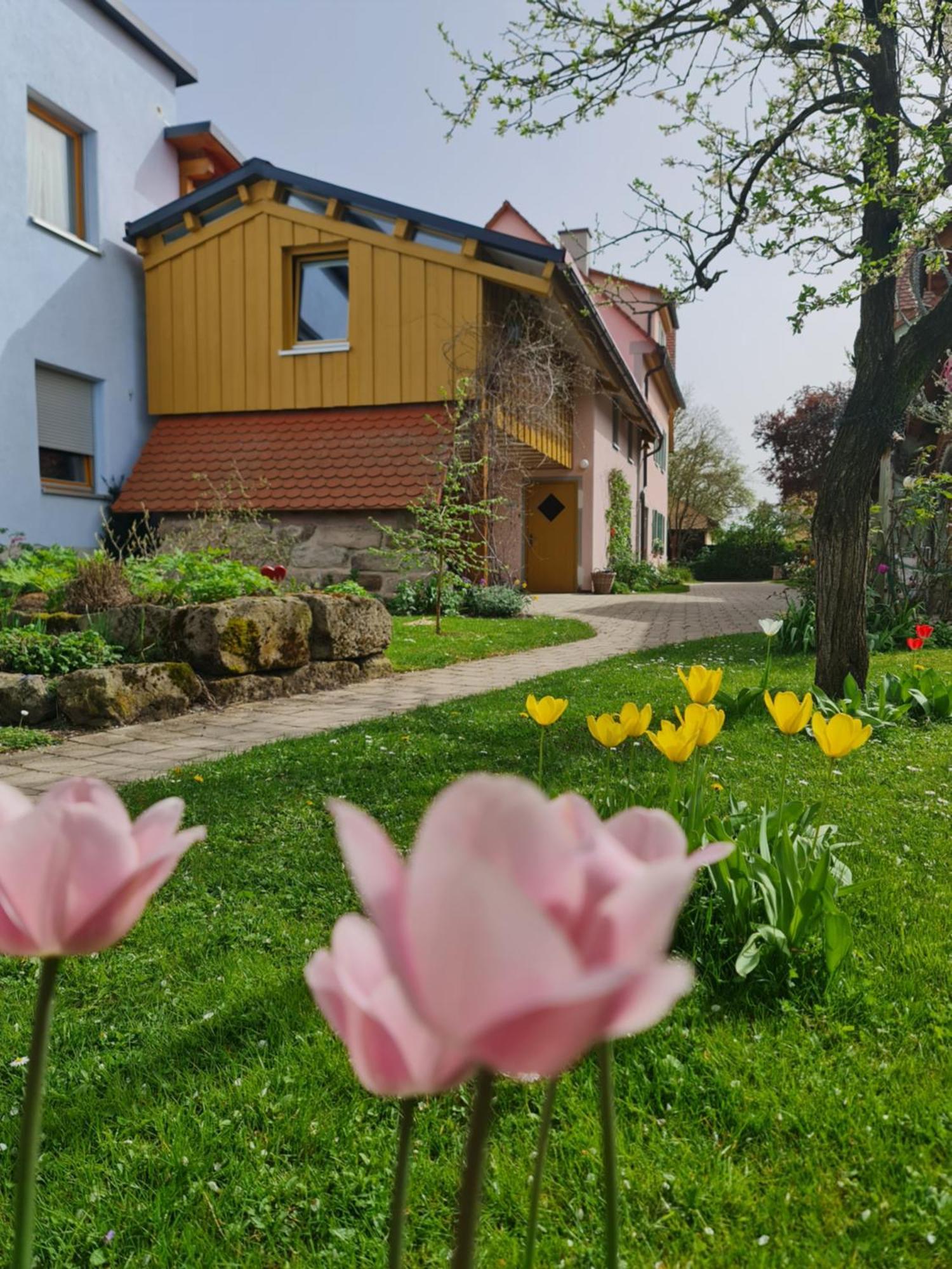 Ferienwohnung Wiesenhof 뉴하프엔더젠 외부 사진